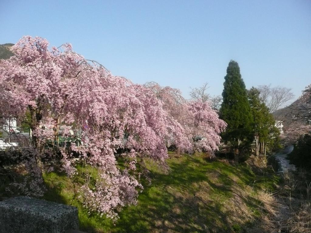 Hakone Highland Hotel Exterior photo